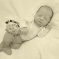FF01_Miklosi_Greta_Laura_2015-11-24_09