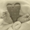 FF01_Miklosi_Greta_Laura_2015-11-24_16