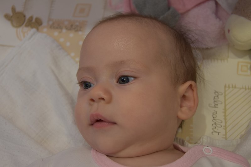 DSC_2714.JPG