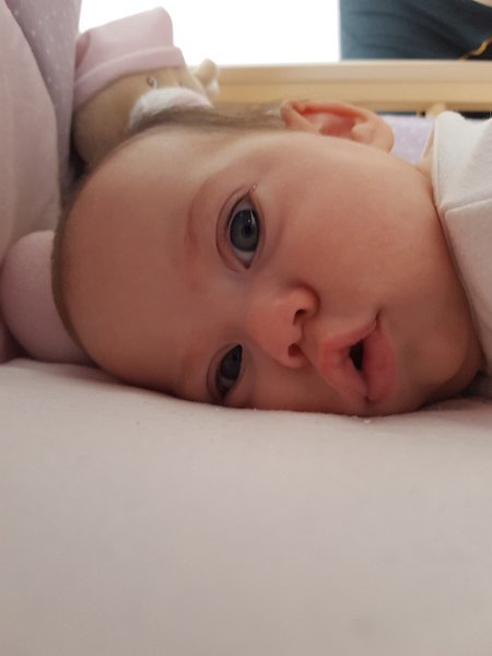 20160325_101512.jpg